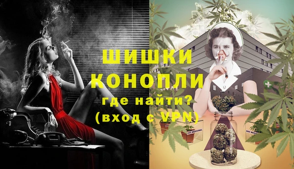 крисы Верея