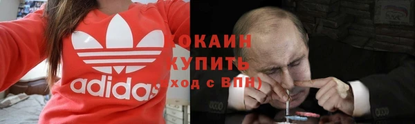 крисы Верея