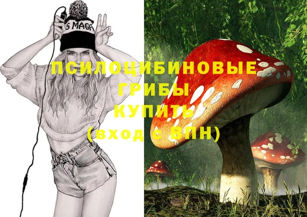 синтетический гашиш Верхний Тагил