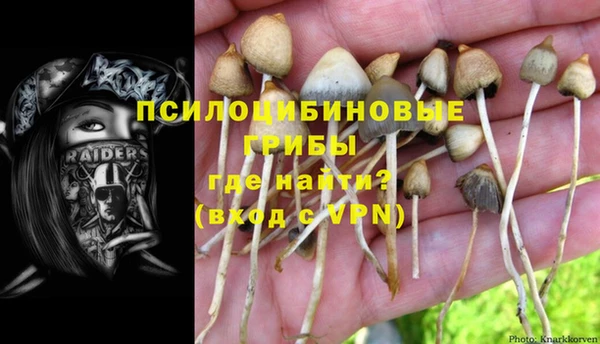 синтетический гашиш Верхний Тагил