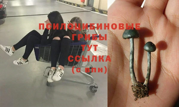 синтетический гашиш Верхний Тагил
