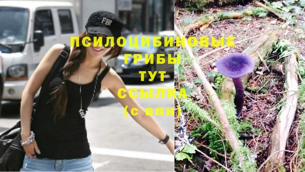 мяу мяу мука Бугульма